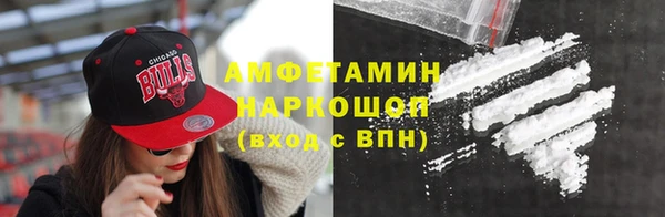 винт Пересвет