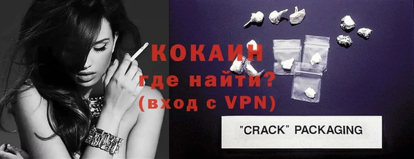 винт Пересвет
