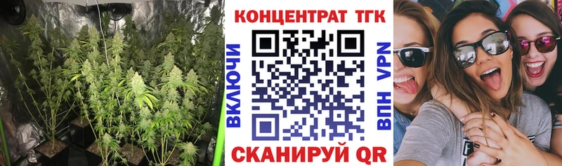 KRAKEN сайт  Тайга  Дистиллят ТГК вейп 