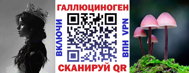 Псилоцибиновые грибы Psilocybe Тайга