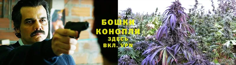 сколько стоит  Тайга  МАРИХУАНА OG Kush 